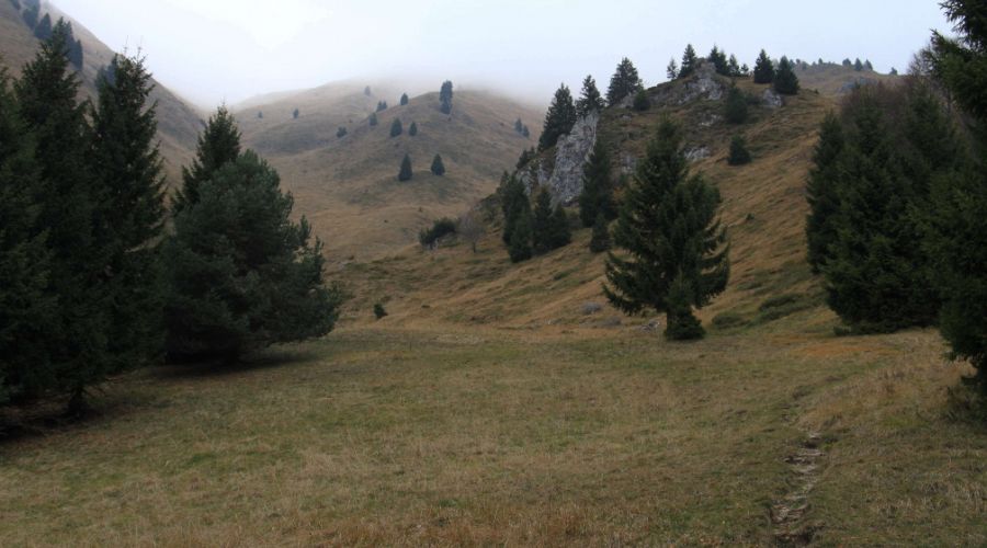 Valle di Lomar