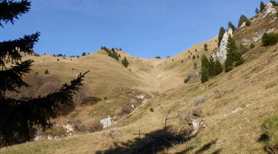 1 Malga Guì
