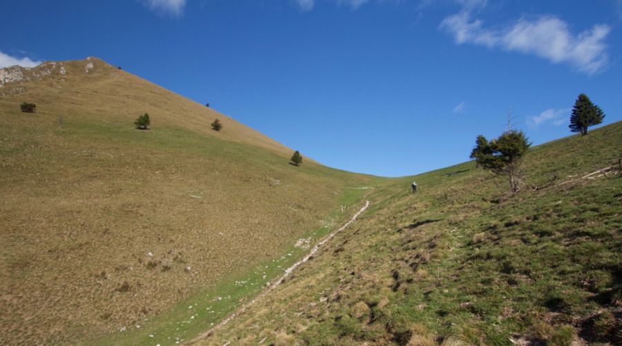 Bocca Dromaè