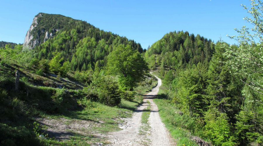 3 Sentiero Malga Giù