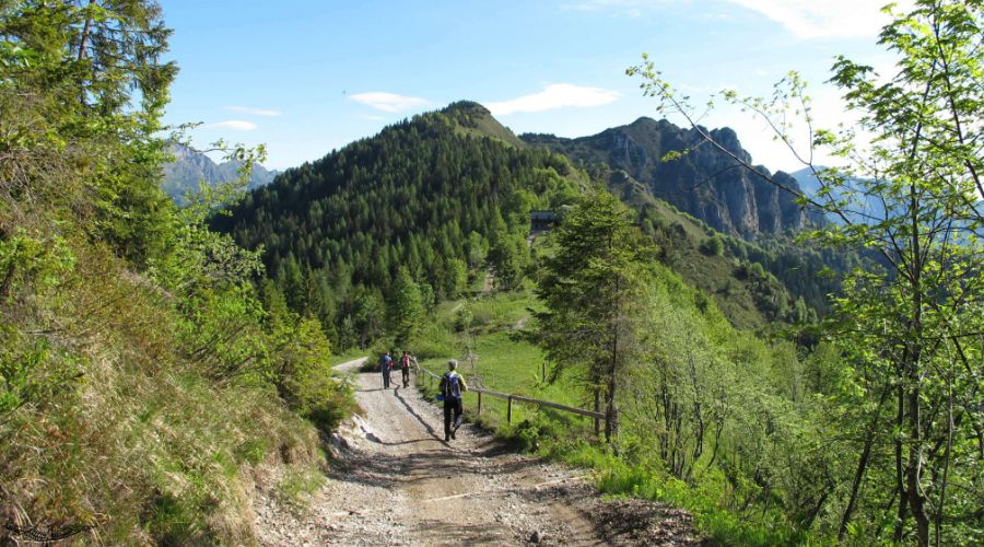 4 Sentiero Malga Giù