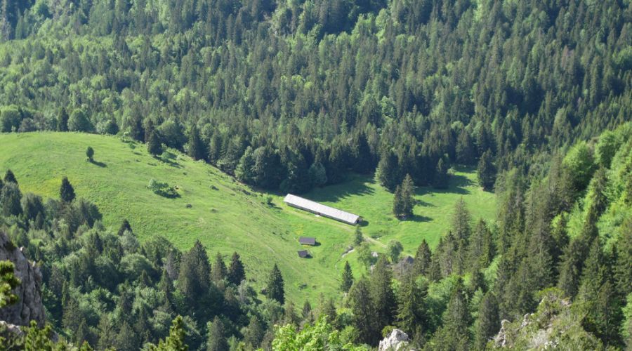 Malga Giù